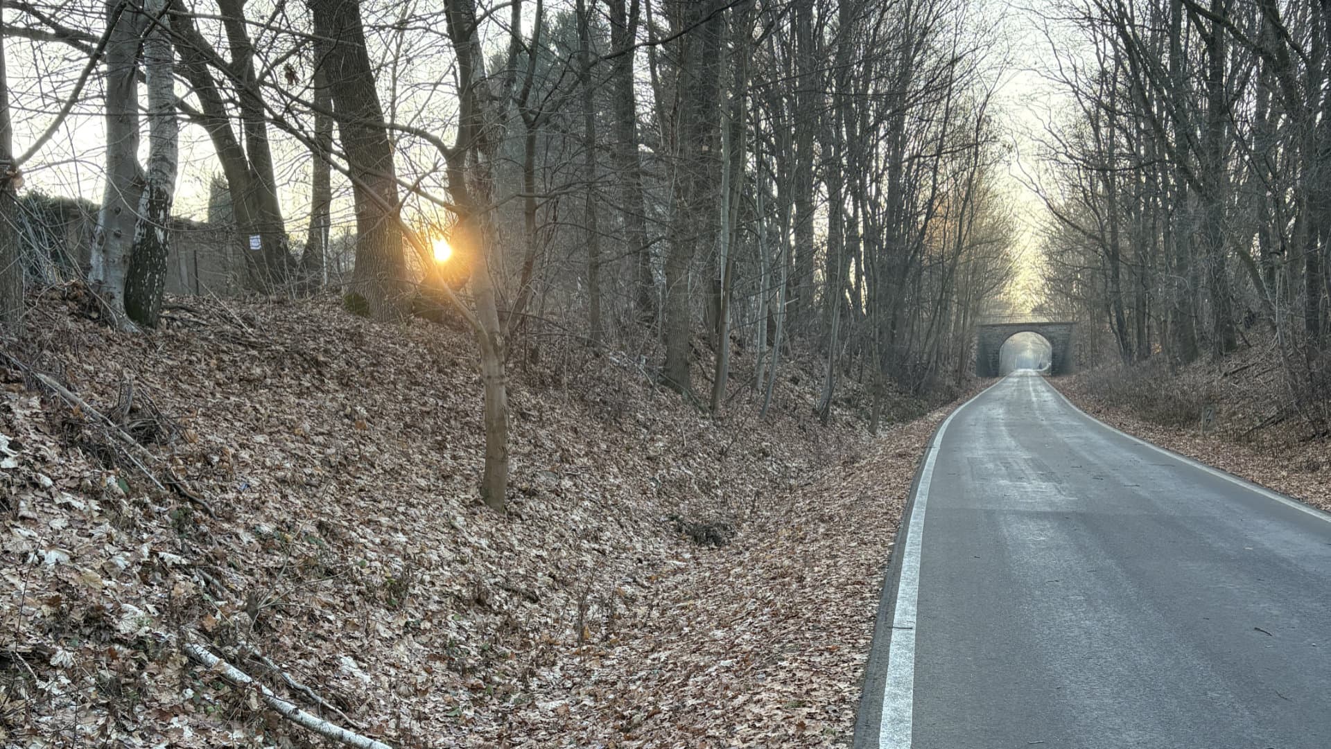 Jahresrückblick 2025: Kati Wolf - SEO-Coaching & SEO-Sparringspartner