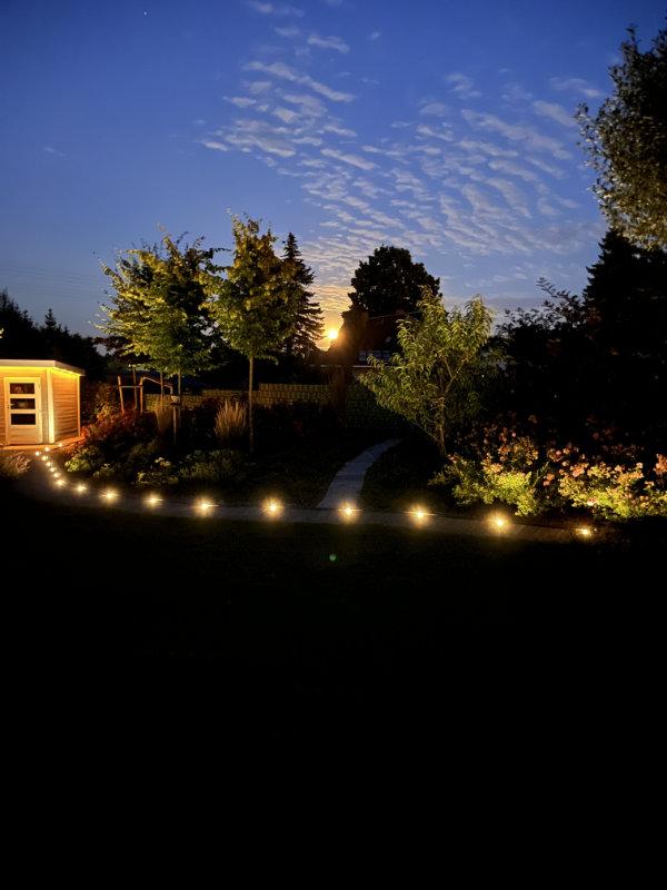 Jahresrückblick 2025: Vollmond im Garten