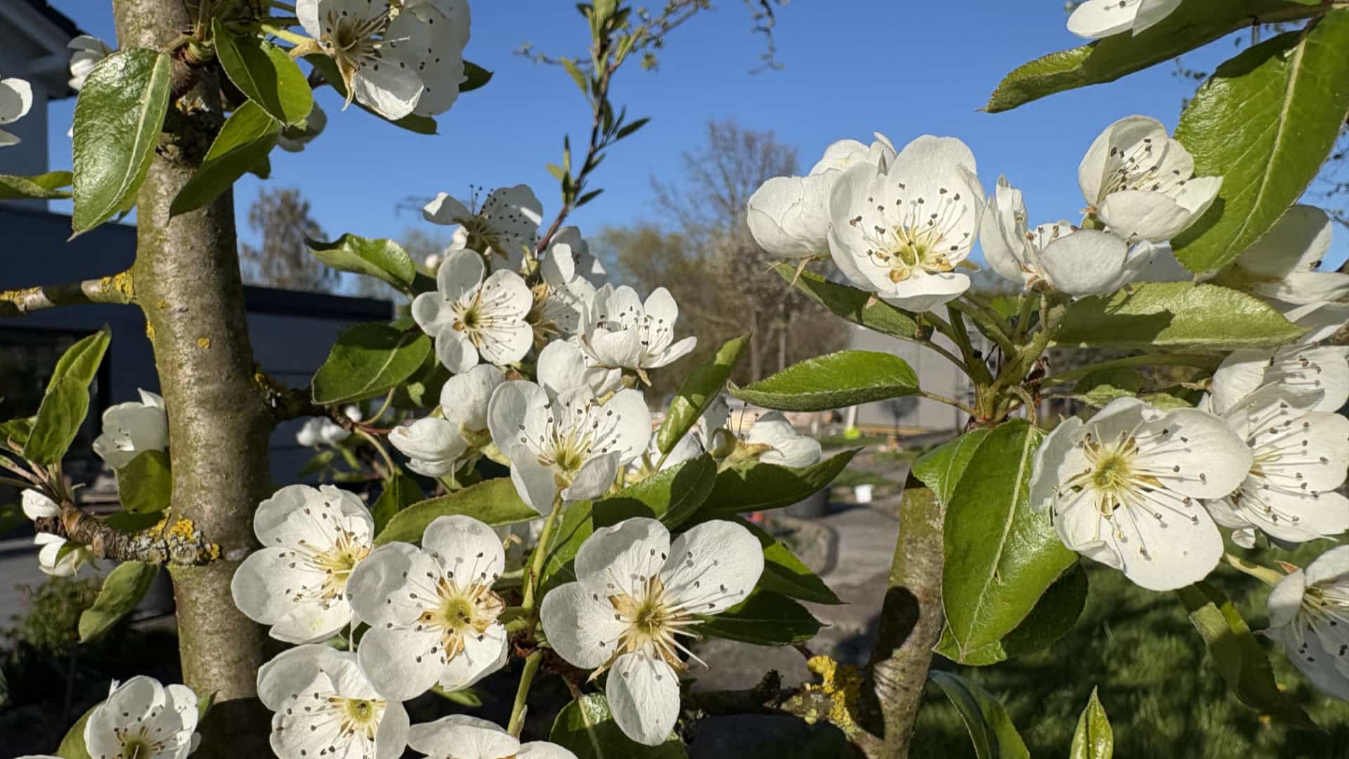 Brauche ich als Coach einen Funnel: Kati Wolf SEO-Coaching & SEO-Sparring