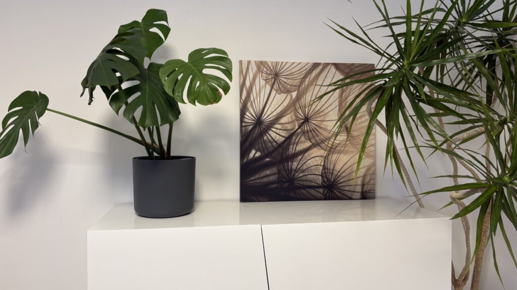 Monatsrückblick Januar 2026: Kati Wolf - SEO-Coaching & SEO-Sparringspartner