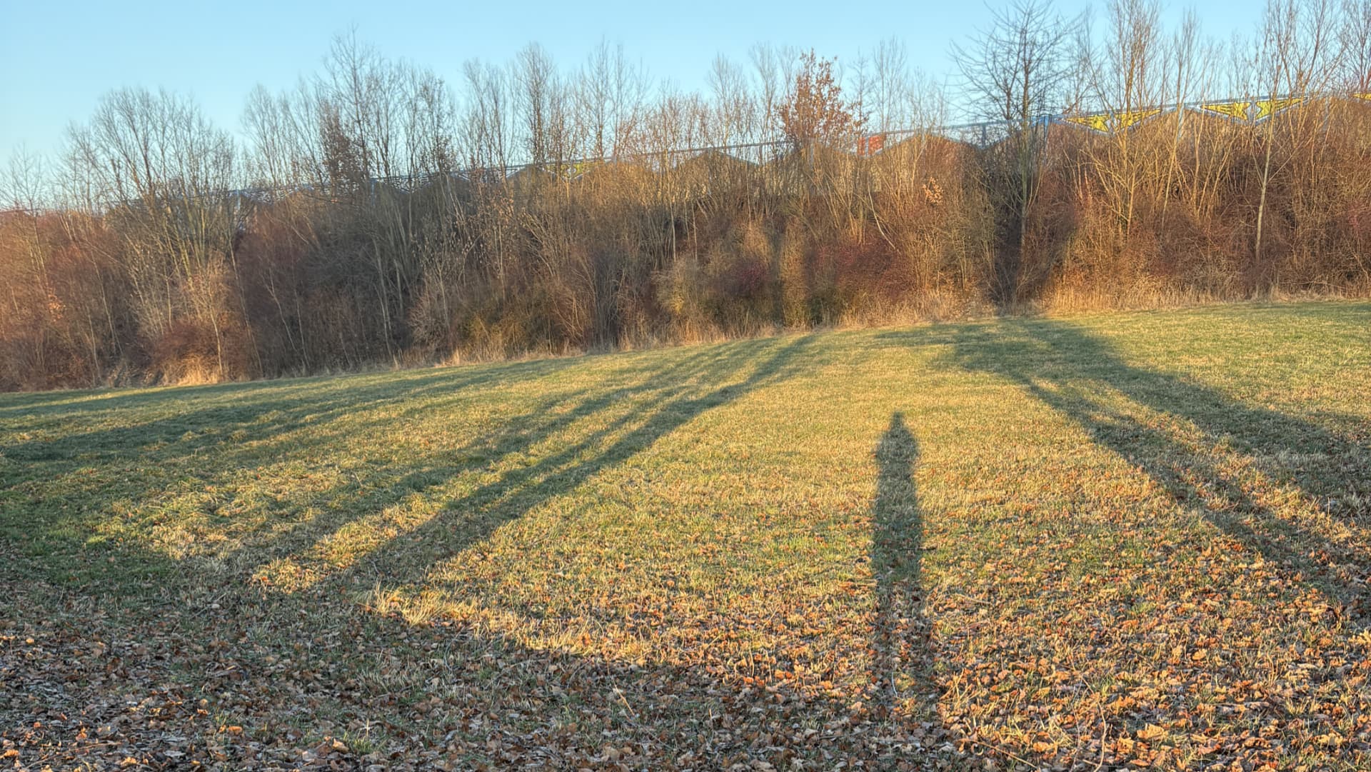 Erste Website erstellen & Checkliste: Kati Wolf - SEO-Coaching & SEO-Sparringspartner