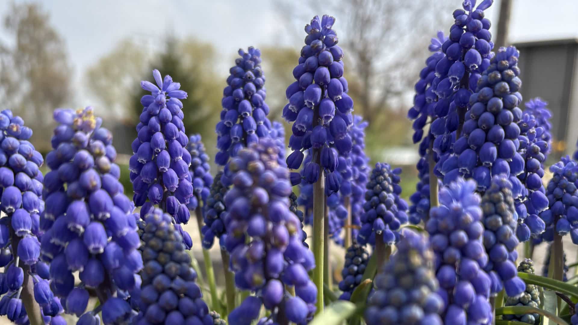 Keyword-Recherche für KI-Suche: Kati Wolf SEO-Coaching & SEO-Sparing