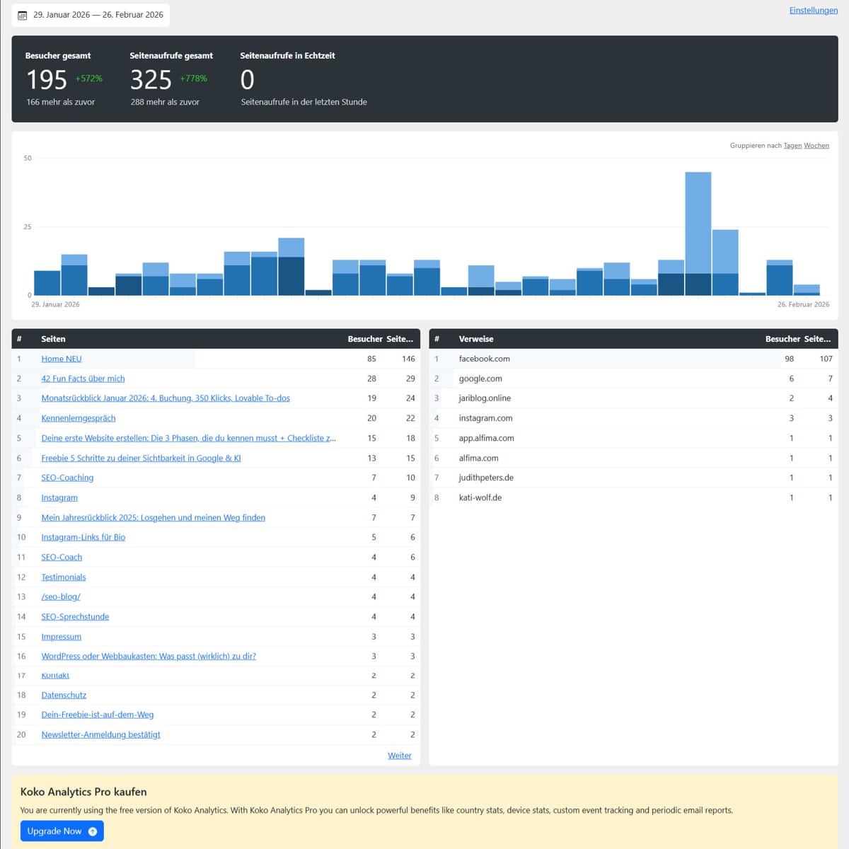 Koko Analytics Monatsrückblick Februar 2026: Kati Wolf - SEO-Coaching & SEO-Sparringspartner