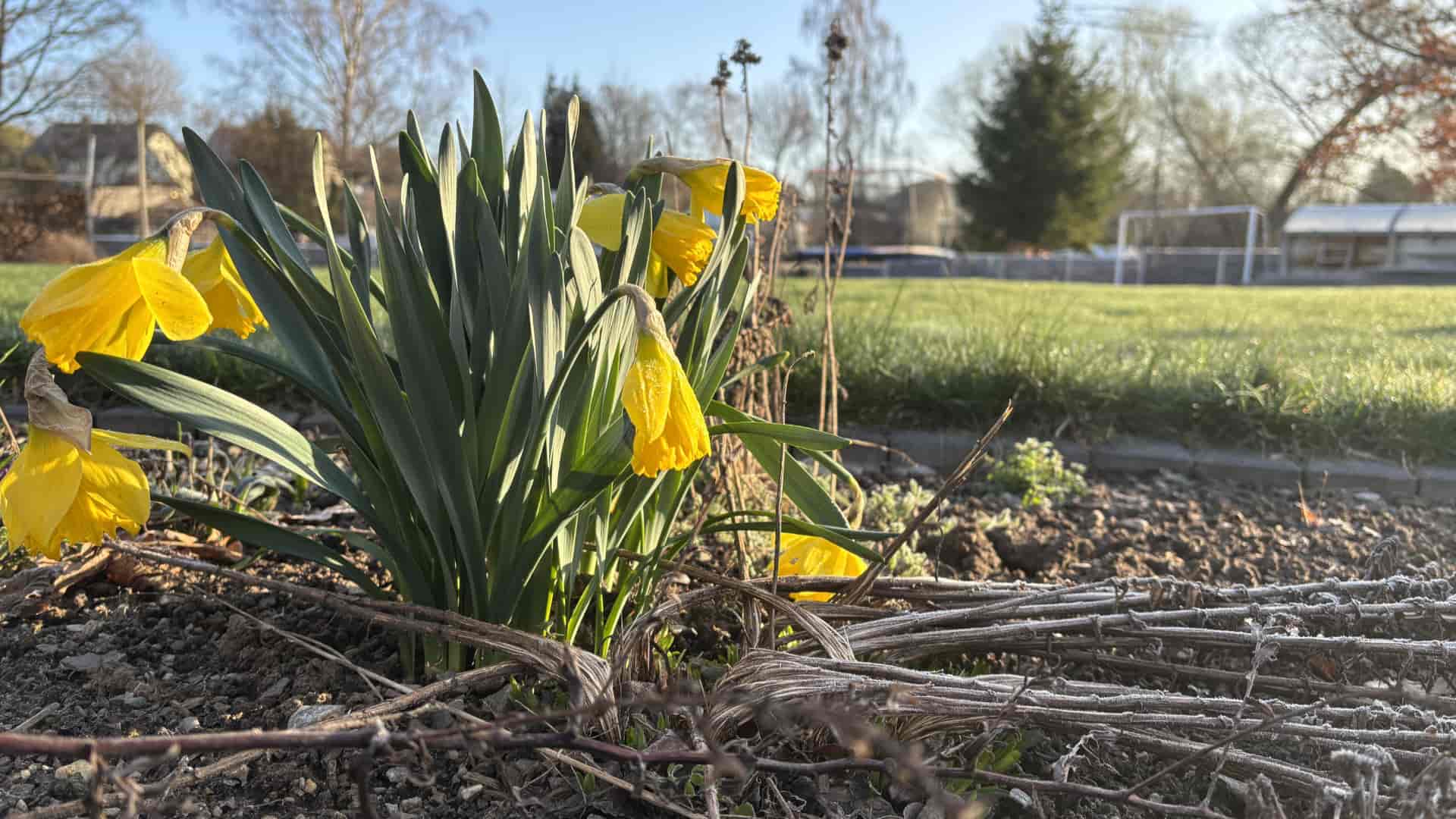Monatsrückblick März 2026: Kati Wolf - SEO-Coaching & SEO-Sparring