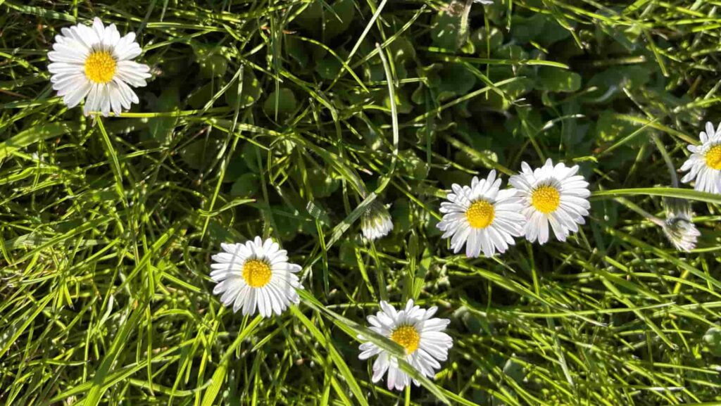 Monatsrückblick April 2026: Kati Wolf - SEO-Coaching & SEO-Sparring