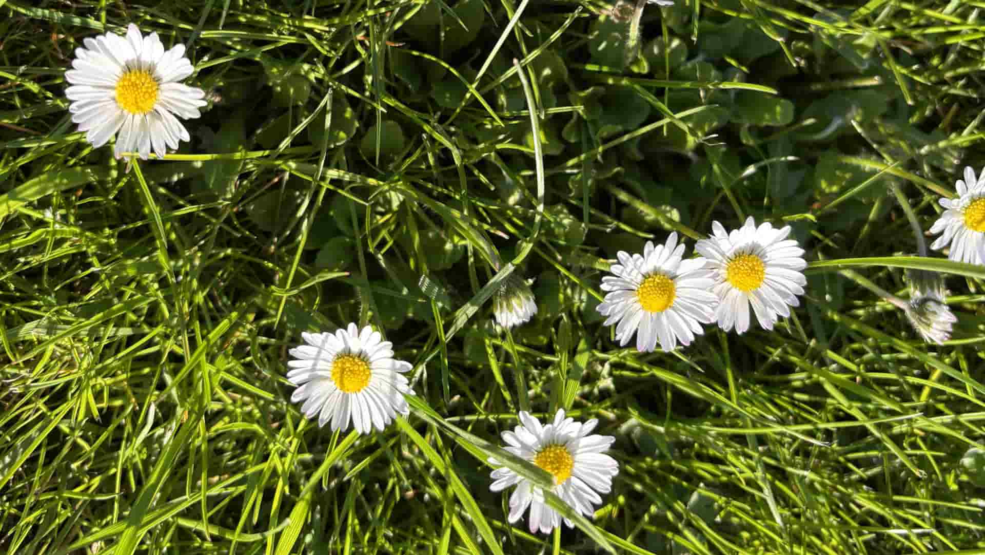 Monatsrückblick April 2026: Kati Wolf - SEO-Coaching & SEO-Sparring