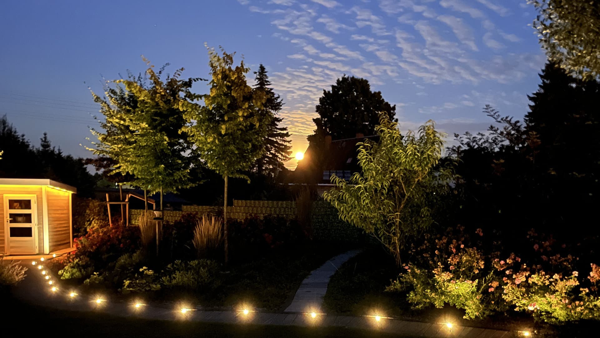 SEO für Coaches: Wie dein Angebot bei Google auftaucht - Kati Wolf SEO