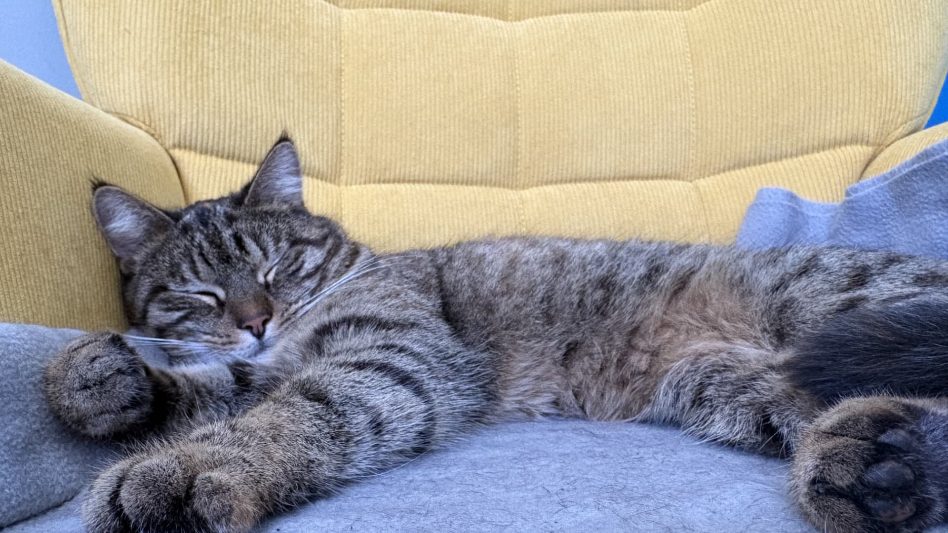 Warum SEO für Selbstständige langfristiger trägt als jeder andere Marketing-Kanal: Kati Wolf SEO