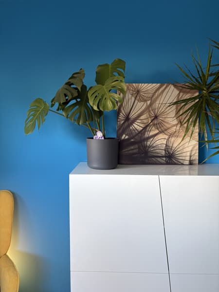 Blaue Wand Monatsrückblick Februar 2026: Kati Wolf - SEO-Coaching & SEO-Sparringspartner